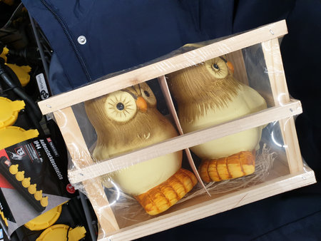 Two Owls in a Wooden Boxの写真素材
