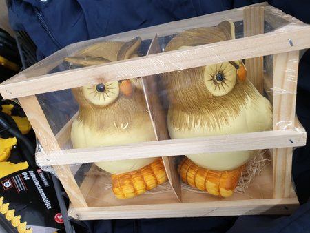 Two Owls in a Wooden Boxの写真素材