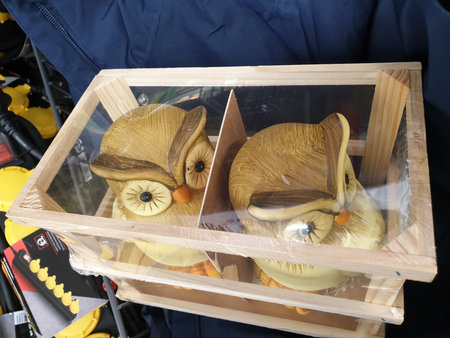 Two Owls in a Wooden Boxの写真素材