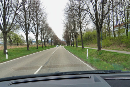 A winding road lined with blooming trees and green fields under a cloudy sky. A perfect spot for a walk or scenic drive.の写真素材