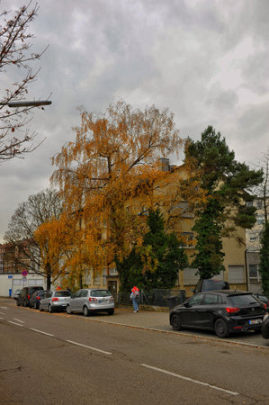 Pforzheim, Germany December residential street with parked cars and single pedestrian walkingのeditorial素材