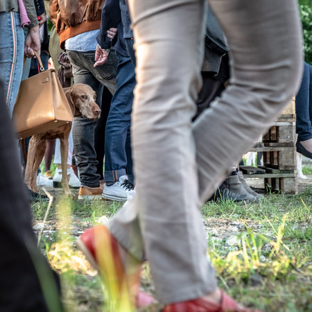 Pforzheim Germany May 15, 2018 Crowd Legs Around Small Brown Dog, Owner Carrying Bag, Festival Setting On Grass, Candid Low Angle Perspective Focusing Oのeditorial素材