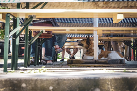 Pforzheim Germany Low Angle Outdoor Table Showing Legs And Shoes Under Picnic Benches, Sunlight And Shadow On Concrete, Wooden Slats And Metal Supports Visible, Patrons Sharing Lunchの写真素材