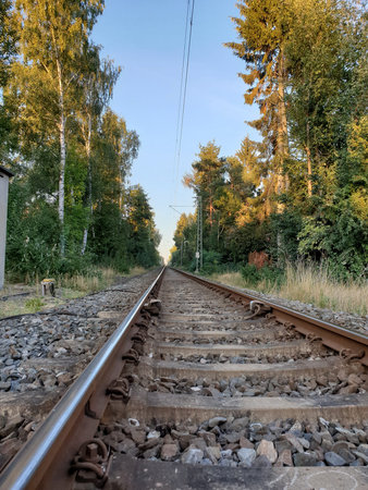 Rail Tracks Leading Into Forest, Lowangle View Capturing Gravel Bed, Wooden Sleepers And Overhead...