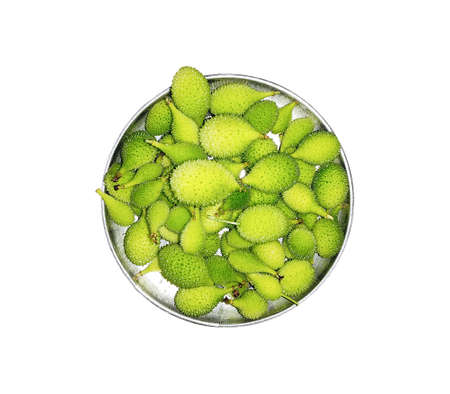 fresh and natural spiny gourd isolated on white background. Indian vegetable and food.