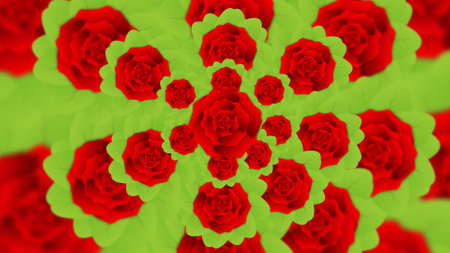 red rose flower background. focused on middle flower. decorative flowers image.
