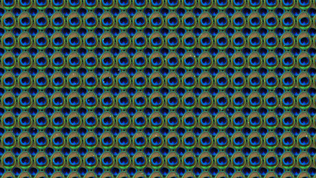 peacock feathers background. concept for indian traditional decoration abstract.