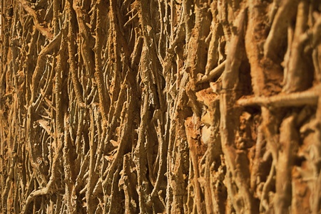 Weird texture with brown colors and arbitrary shapesの写真素材