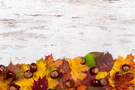 A bunch of autumn leaves