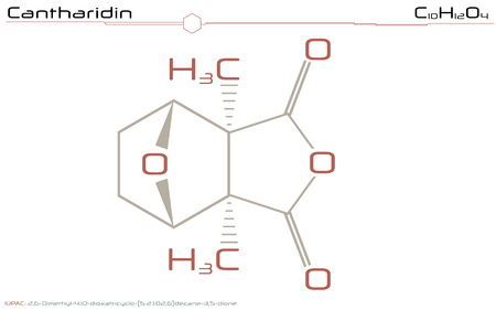 Large and detailed infographic of the molecule of cantharidinのイラスト素材