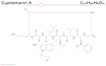 Large and detailed infographic of the molecule of Cyclomarin Aのイラスト素材