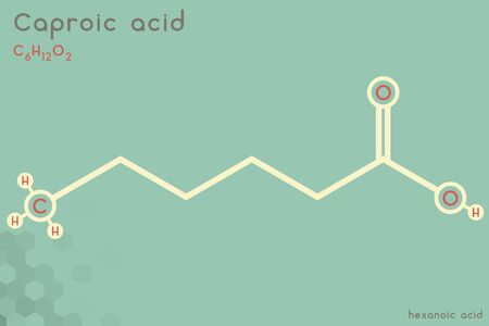 Large and detailed infographic of the molecule of caproic acidのイラスト素材