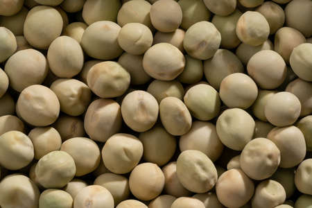 Detailed and large close up shot of peas.の写真素材