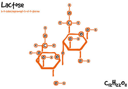 Large and detailed isolated drawn molecule and form of lactoseのイラスト素材