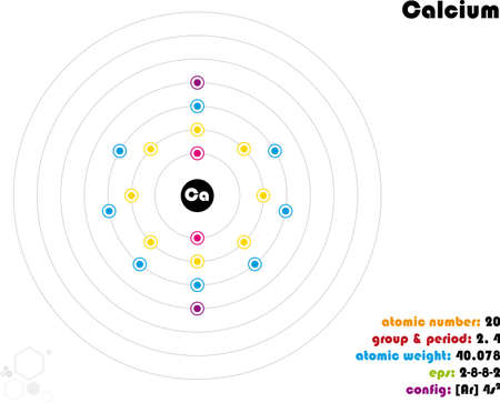 Large and colorful infographic on the element of Calciumのイラスト素材