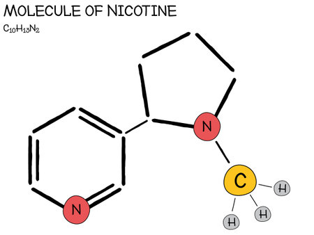 Large and detailed infographic of the molecule of Nicotineのイラスト素材