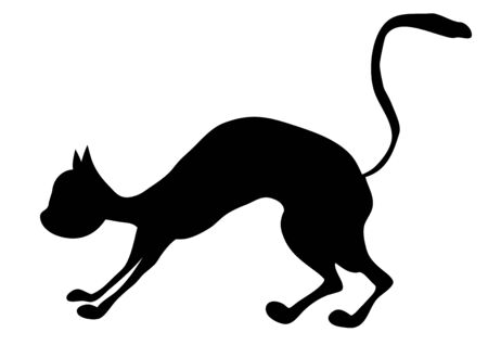 Black cat pet on a white background. Vector image. Background image. Place for text. Template. Advertising. Poster. Fight of cats. Homeless cat. Street cats.のイラスト素材