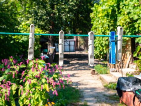 Clothespins hang on a clothesline to dry the clothes. Household. Gen. Background image. On the street. Place for text. Template. Poster.の写真素材