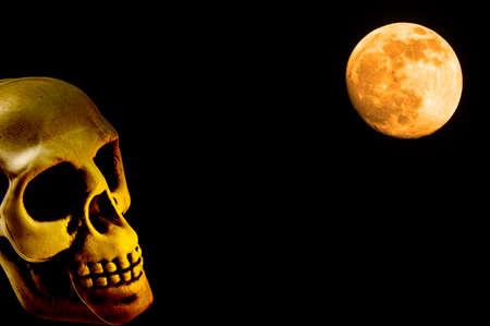 Human skull looking at the moon in halloween. Human head. Halloween holiday. Night life. Background image. Dead man. The horror of hell. Place for text. Poster.の写真素材