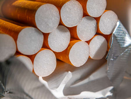 A closeup of cigarette filters in a pack. The tobacco industry. The harm of nicotine. Filtered cigarettes. The cigarette industry. Background image. Place for your text. Health and medicine.の写真素材