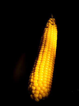 Yellow swing of corn on a black background. Boiled corn. Harvest. Agriculture. Food photo. Black background. Place for your text. Background image. Poster. Vegetarian food.の写真素材