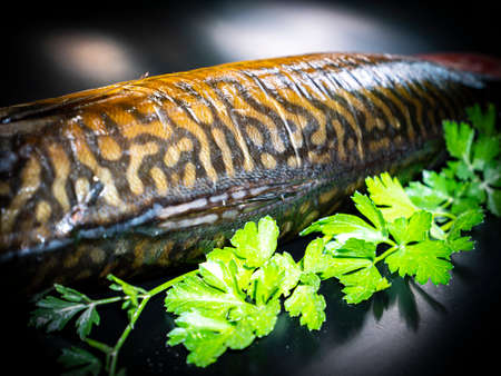 Smoked mackerel fish with parsley on a black background. Salted mackerel fish. Green parsley. Canned...