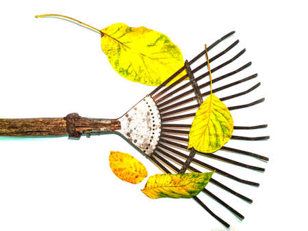 Iron fan for cleaning leaves hand tools.