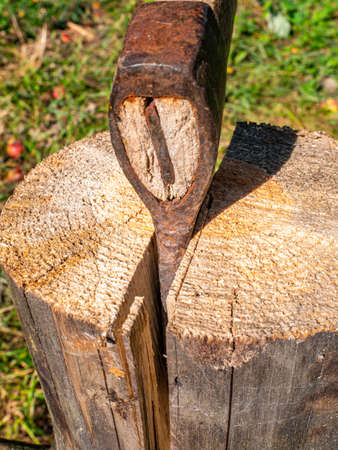 Chopping wood with an iron ax with a wooden handle. Hand tool ax. Preparation of firewood for the...