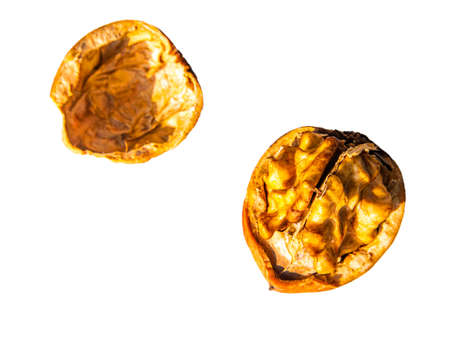 Chopped walnut fruit on a white background. Walnut kernel. The shell is cracked. Harvesting garden...
