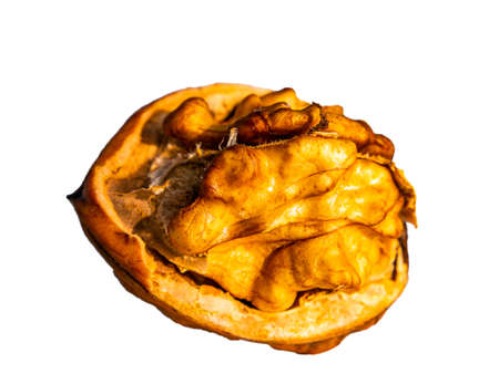 Chopped walnut fruit on a white background. Walnut kernel. The shell is cracked. Harvesting garden...