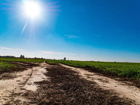 Dirt road against the backdrop of a sunny blue sky. Dirt road for vehicles. Sun in the blue sky. Rural landscape. Natural landscape. Agricultural field. Farm field of winter crops. Background image.の写真素材