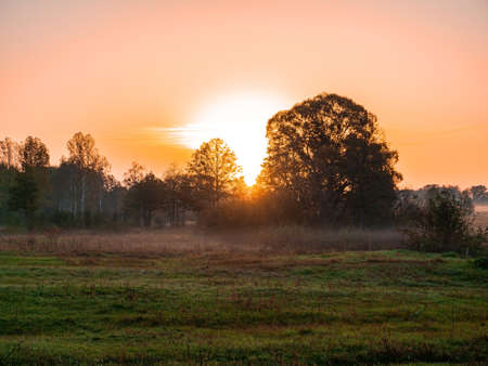 Orange sunrise over a meadow in fog. Orange sunny sunset over the horizon. Trees on the horizon. Morning fog over the meadow. The morning dawn of the rising sun. Evening dawn of the sunset.の写真素材