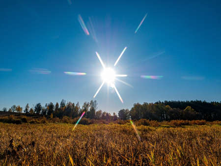 Sun on a background of blue sky over an autumn field. Yellow foliage. Autumn season. Blue cloudless sky. Sun rays. Forest horizon. Natural landscape. Yellow grass. Heavenly horizon. Background.の写真素材