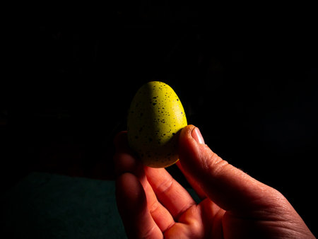 Easter chicken eggs in hand on a black background.