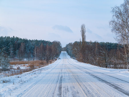 Winter road in the snow leaving the forest horizon.の写真素材