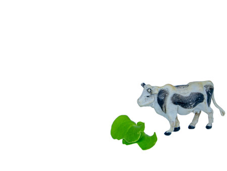 Animal white cow with black spots eats green grass.の写真素材