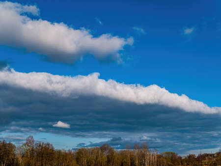 Forest horizon against a blue sky with white clouds.の写真素材