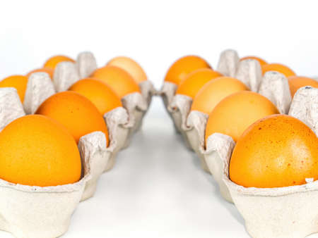 Chicken eggs in cardboard packaging on a white background.