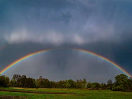 Rainbow with rain clouds in the sky. Colored rainbow. Color spectrum. Rain clouds. Gloomy sky. Green tree crowns. Natural landscape. Atmospheric phenomenon. Weather. Background.の写真素材