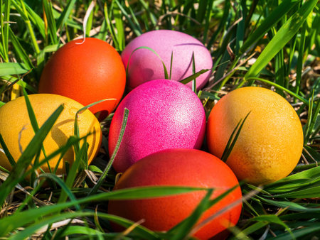Colored chicken Easter eggs in green grass. Easter holiday. Egg. Green grass. Christian religion. Religious holiday. Spring season. Christian faith. Sunday event. Resurrection of God.の写真素材