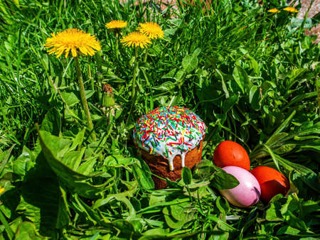 Colored Easter eggs in green grass with dandelion flowers.