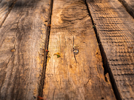 Surface texture from a row of old wooden planks.の写真素材