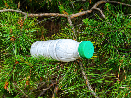 Plastic milk bottle on a pine branch. Plastic trash. Household waste. Environmental pollution....