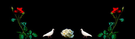 Red roses and white birds doves on a black background. Two birds doves. Rose flowers. Red and white colors. Black background. Day of Remembrance. Funeral services. Template for text.の写真素材