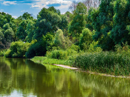 Reflection of trees in the river flow of water. Water surface. Freshwater lakes and rivers. Green leaves of trees. Coastline. Blue sky. White clouds. Natural landscape. Summer sunny day.の写真素材