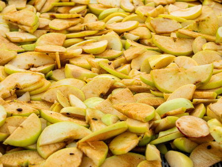 Sliced green fruit apple slices for drying.の写真素材