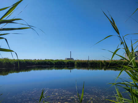 Industrial plant with a chimney on the shore of the reservoir. production enterprise. freshwater lake. water surface. green reed. heavenly horizon. Coastline.の写真素材
