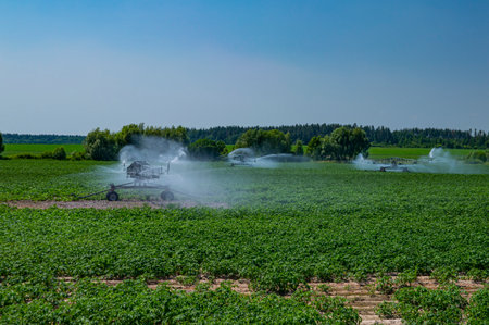 Machine irrigation of an agricultural field with water.の写真素材