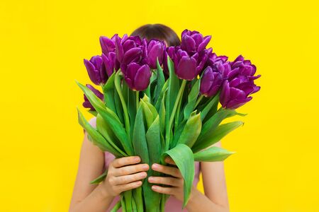 Young woman with purple flowers tulips in hands on yellow background.の写真素材