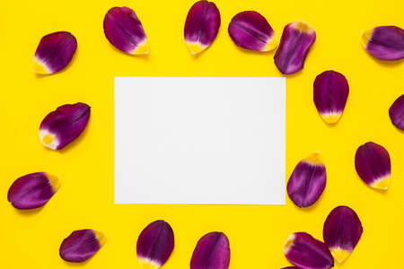Empty photo frame for text on yellow colorful background.の写真素材